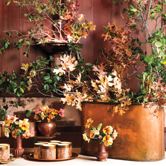 flowers-opener-6116-6131-comp-mwd110838.jpg