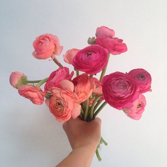 instagram-florists-poppiesandposies-0814.jpg