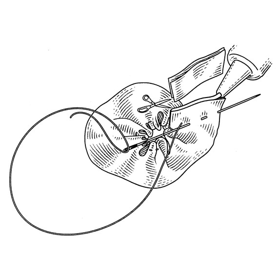 ribbon-how-to-wd103810-flower-step3-0515_vert.jpg