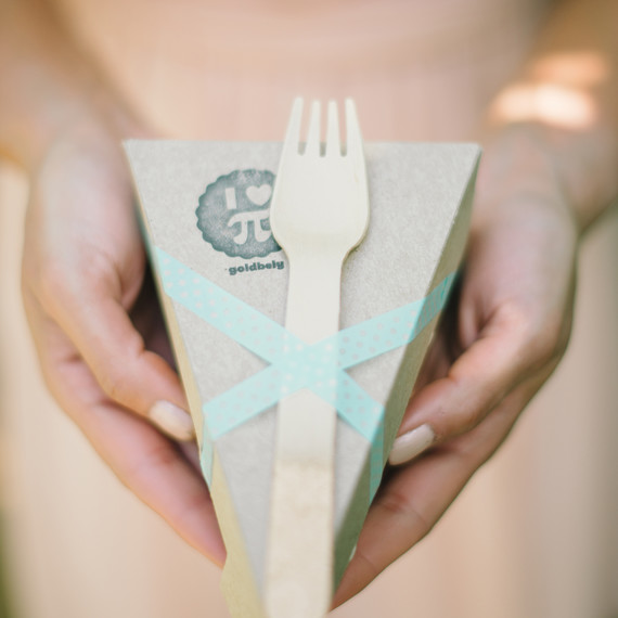 vanessa-joe-wedding-pie-8450-s111736-1214.jpg