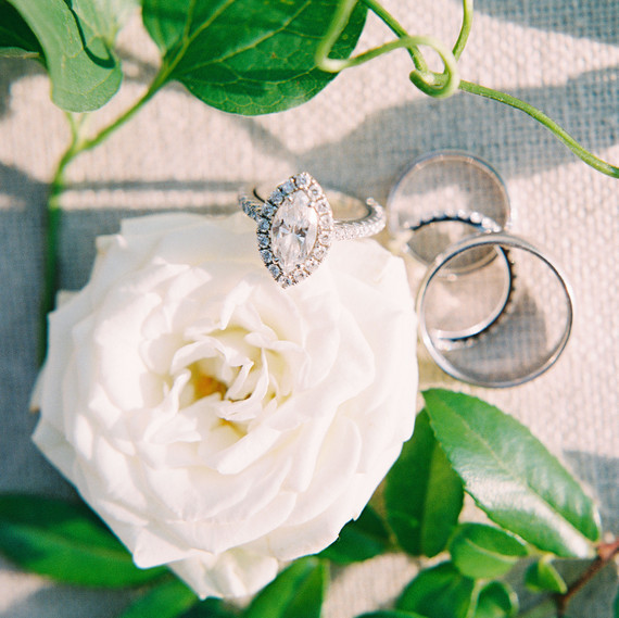 stephanie philip wedding rings stephanie philip wedding rings