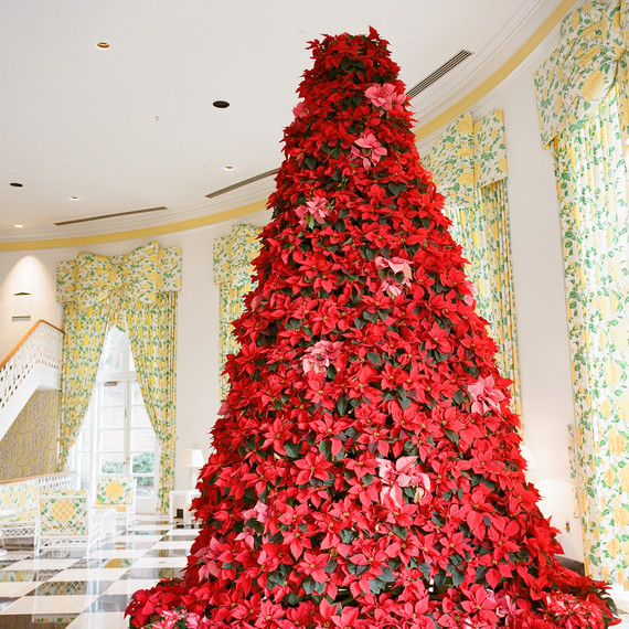 paige-michael-wedding-tree-0038-s112431-1215.jpg