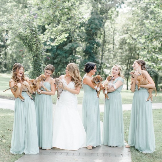 Bridesmaids Hold Puppies Wedding Photo Bridesmaids Hold Puppies Wedding Photo