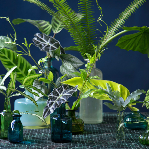 DIY Foliage Display for Wedding DIY Foliage Display for Wedding