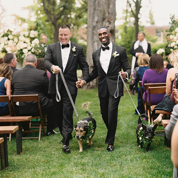 jermaine scott wedding dc aisle dogs jermaine scott wedding dc aisle dogs