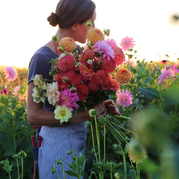 farmer-florists-erin-benzakein-floret-flowers-1214.jpg