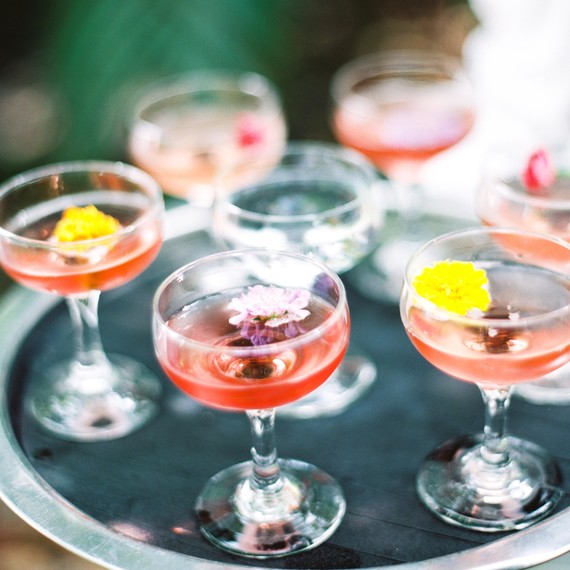 cocktails cocktails