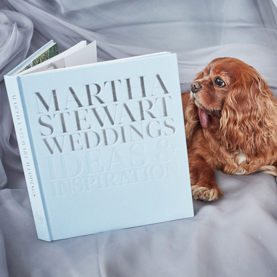 toast-dog-wedding-dress-fitting-reading-msw-book-0116.jpg