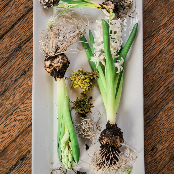 Hyacinth Wedding Table Arrangement Hyacinth Wedding Table Arrangement