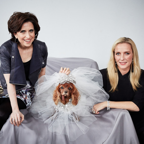 toast-dog-wedding-dress-fitting-darcy-keren-craig-0116.jpg