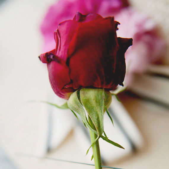 claire-thomas-bridal-shower-derby-diy-holding-rose-0814.jpg