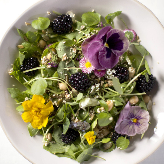 salad salad