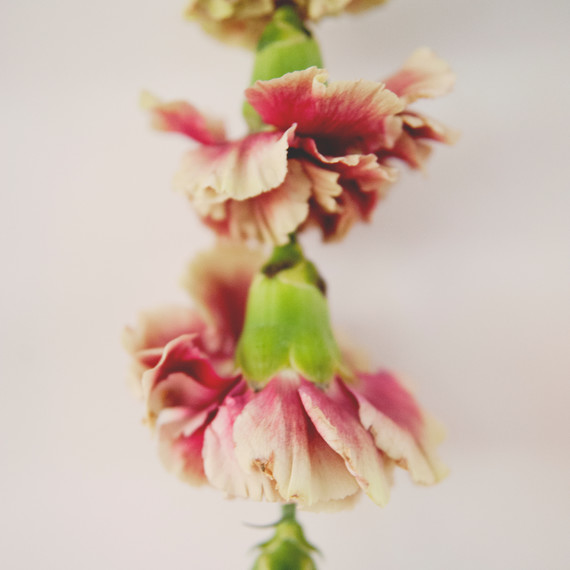 claire-thomas-bridal-shower-garden-diy-flower-garland-close-0814.jpg
