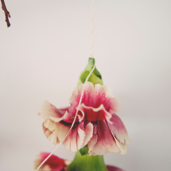 claire-thomas-bridal-shower-garden-diy-hanging-flower-close-0814.jpg